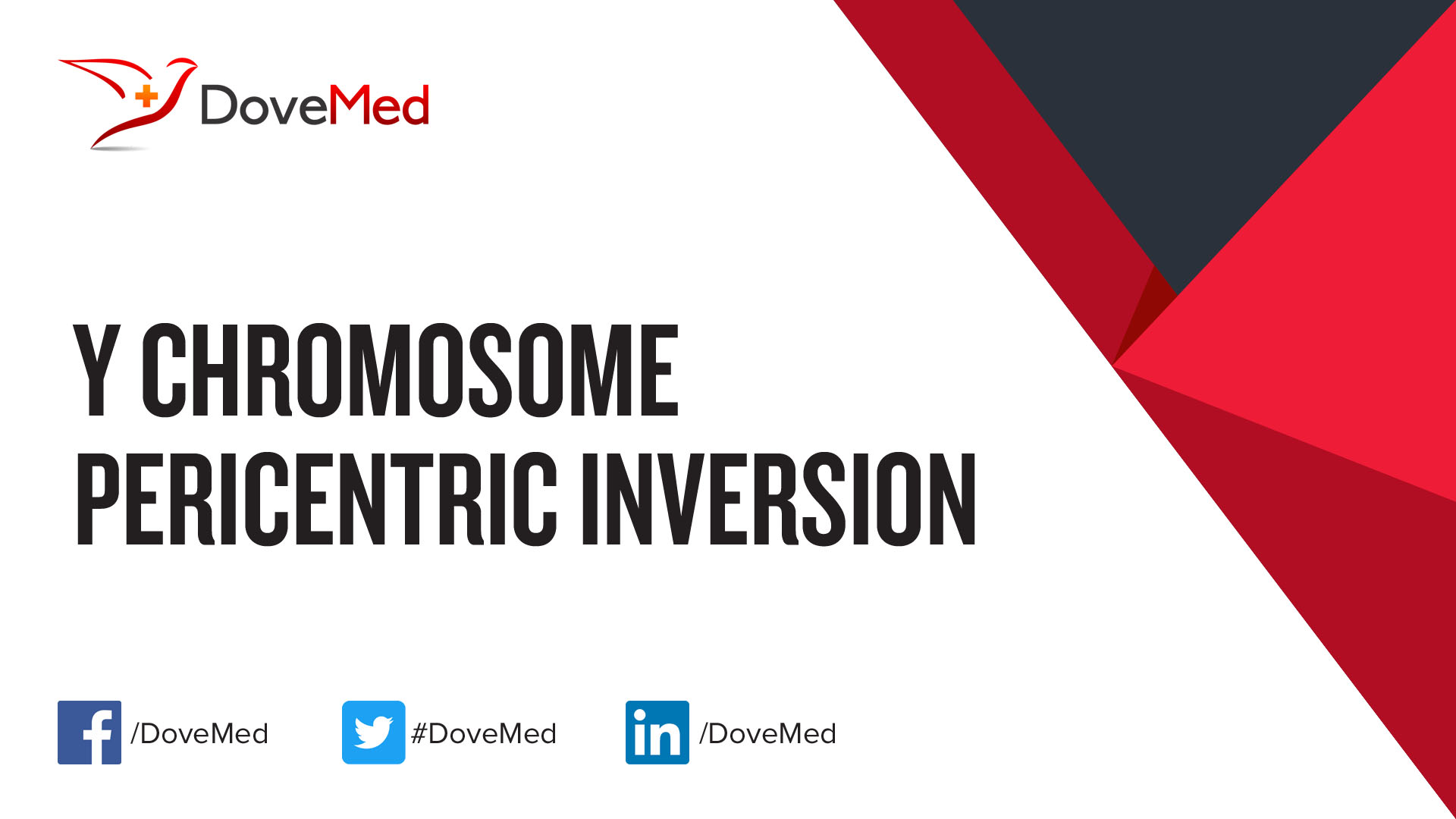 chromosome inversion
