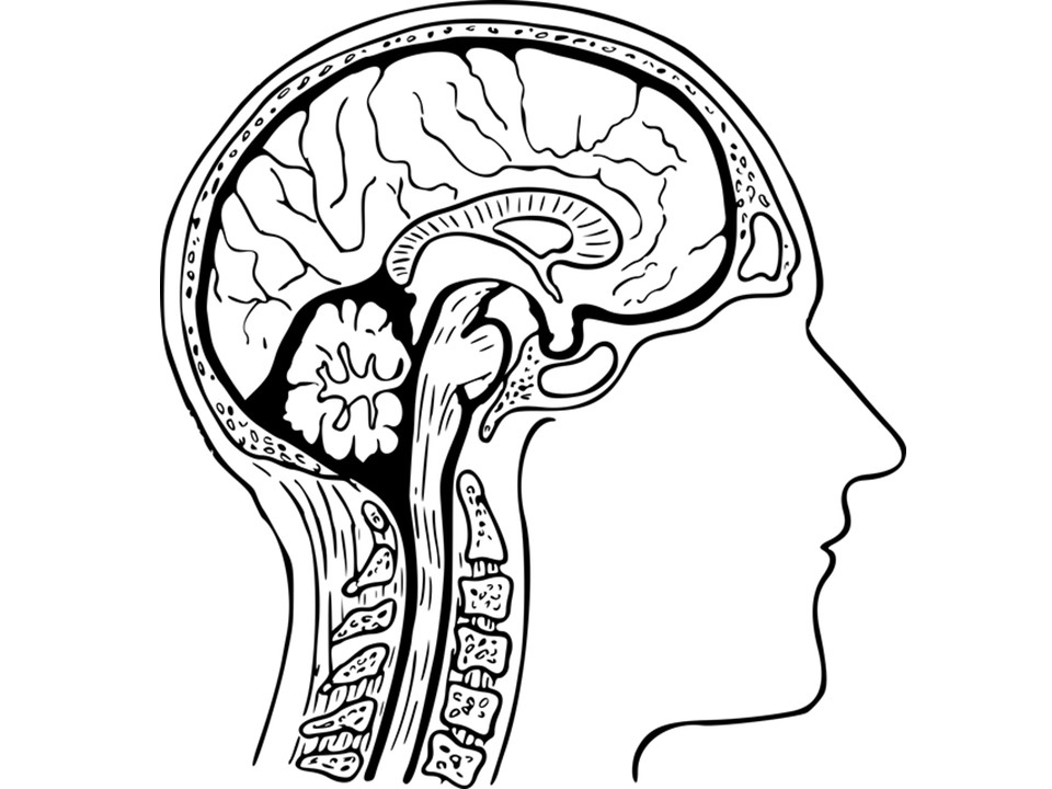 potential-path-to-repair-ms-damaged-nerves