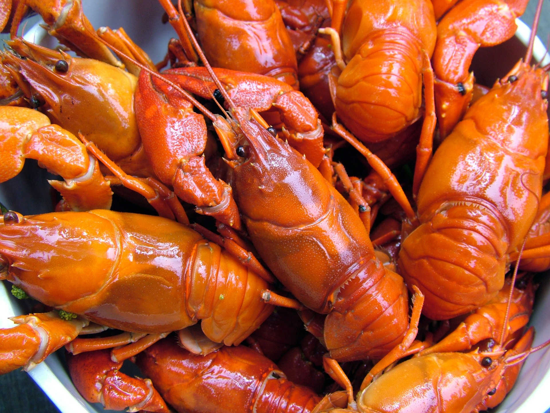 What Are The Health Benefits Of Crab Meat?