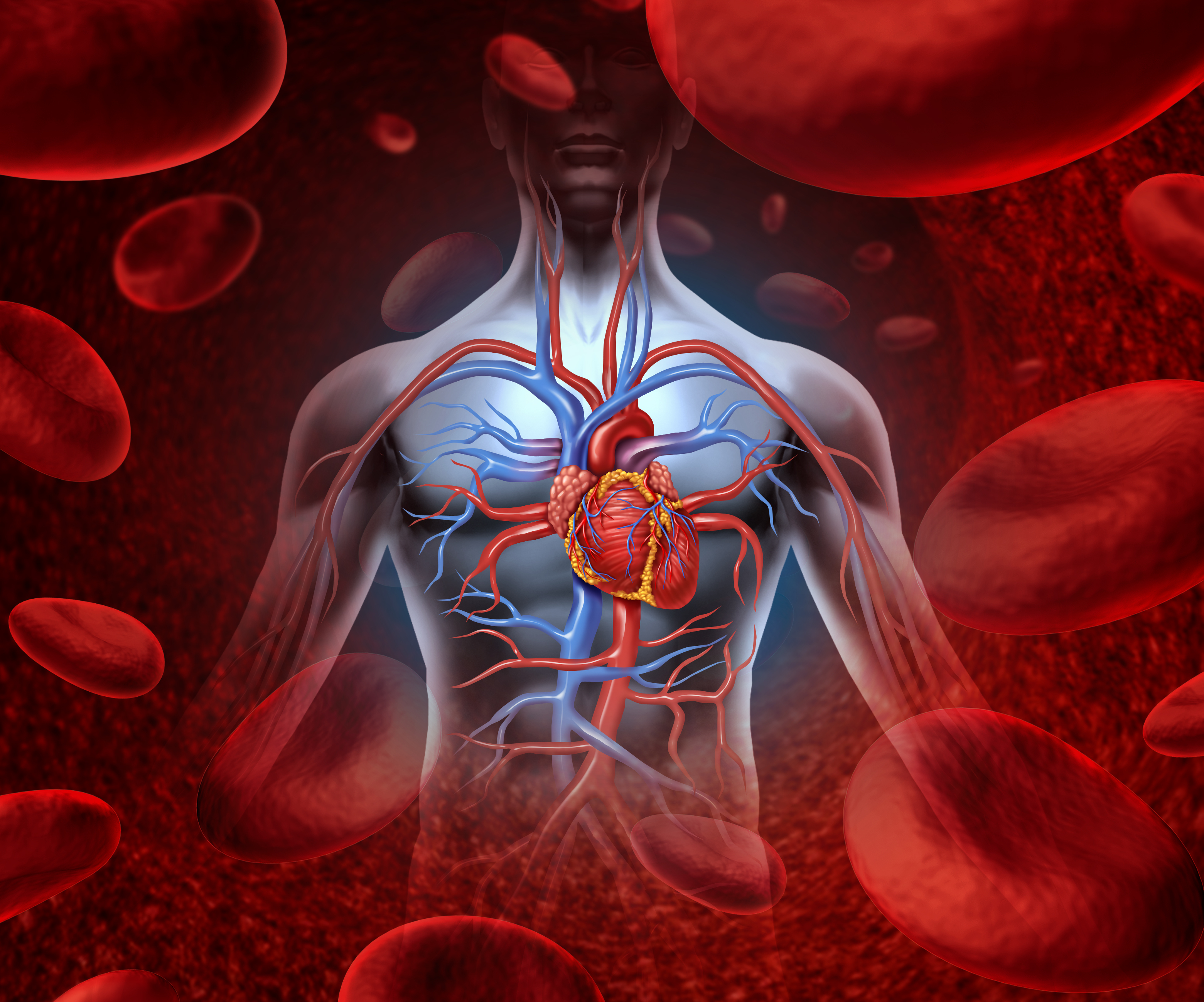 vldl-cholesterol-blood-test