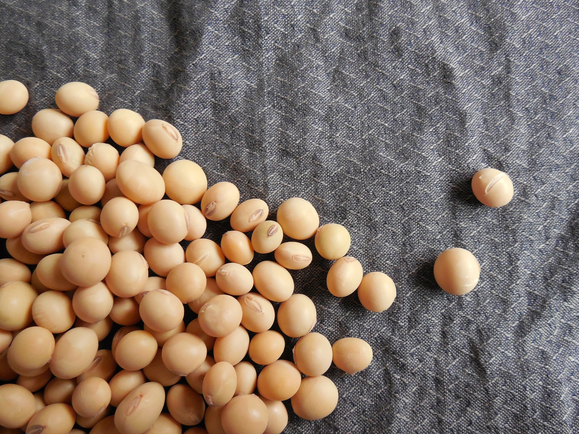 7 Health Benefits Of Soybeans